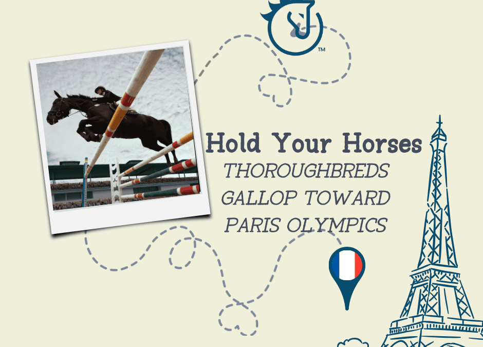 Hold Your Horses: Thoroughbreds Gallop Towards the Paris Olympics