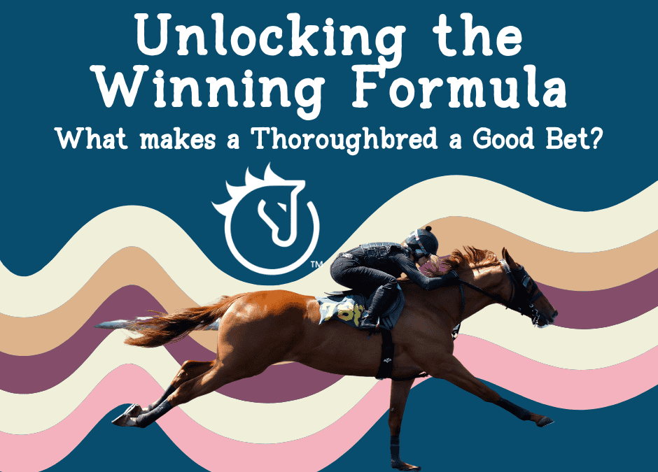 Unlocking the Winning Formula: What Makes a Thoroughbred a Good Bet