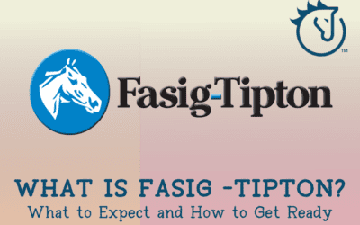 What is Fasig-Tipton? What to Expect and How to Get Ready