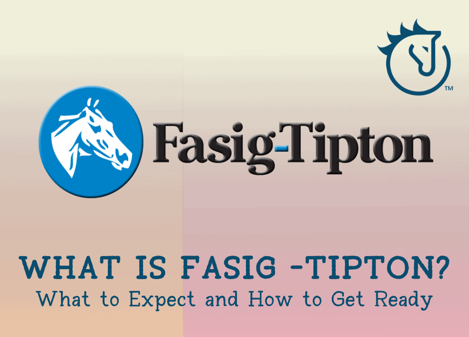 What is Fasig-Tipton? What to Expect and How to Get Ready
