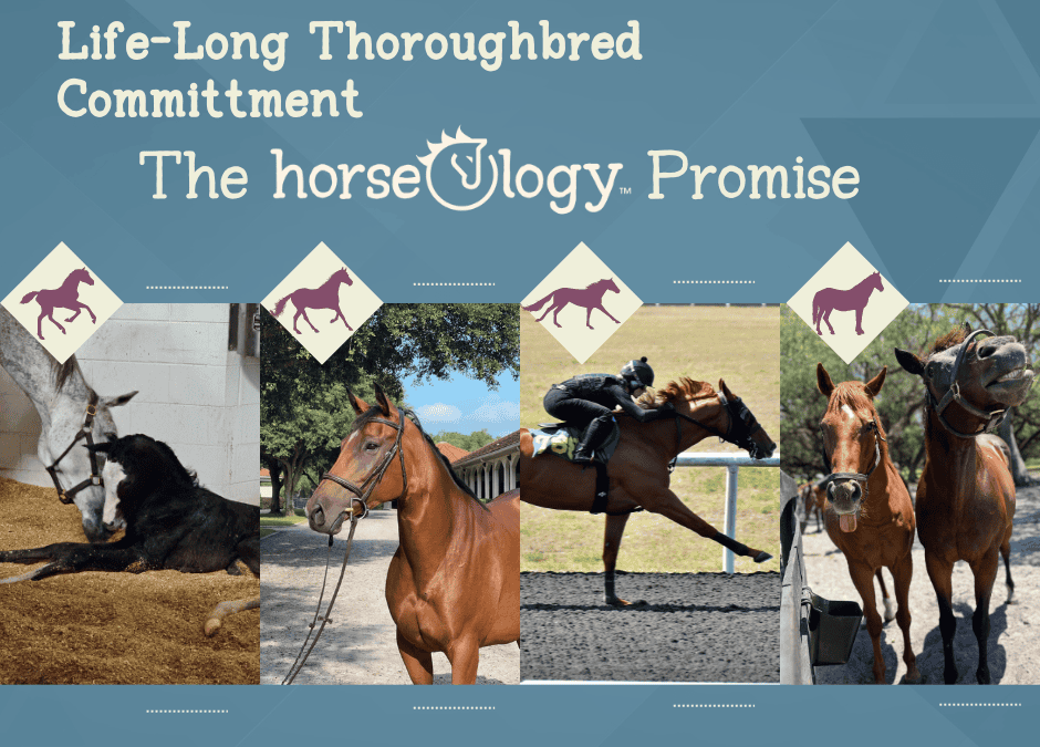 Life-Long Thoroughbred Commitment: The horseOlogy Promise from Conception to Retirement