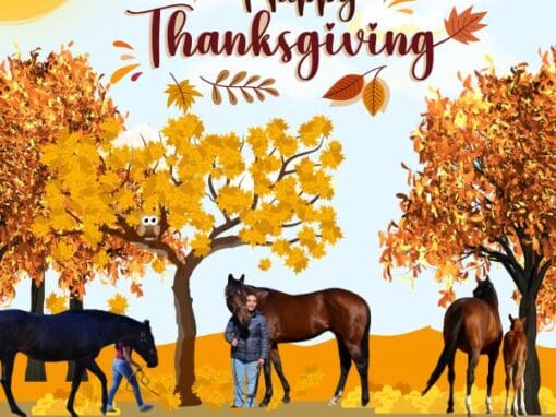Why We’re Thankful for the Team Behind Every Thoroughbred Why We’re Thankful for the Team Behind Every Thoroughbred