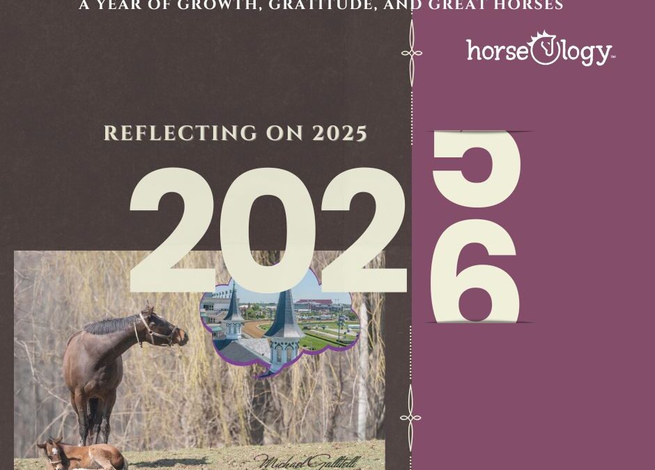 horseOlogy reflecting on 2025 and looking ahead to 2026 in Thoroughbred ownership