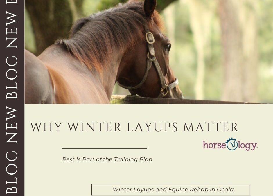 Winter Layups and Equine Rehab in Ocala