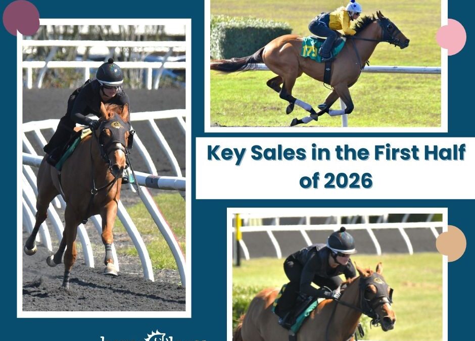 2026 Thoroughbred Sales Calendar | Key Auctions in the First Half of the Year